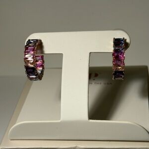 Bp hoop collection Earrings